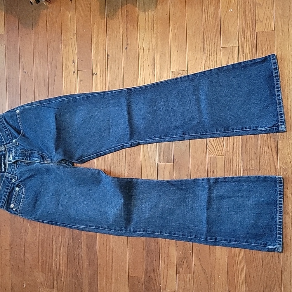 Express Vintage Mid-Rise Extreme Flare Jeans in Dark Wash Size 5/6